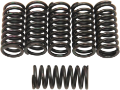Clutch Spring Kit Black