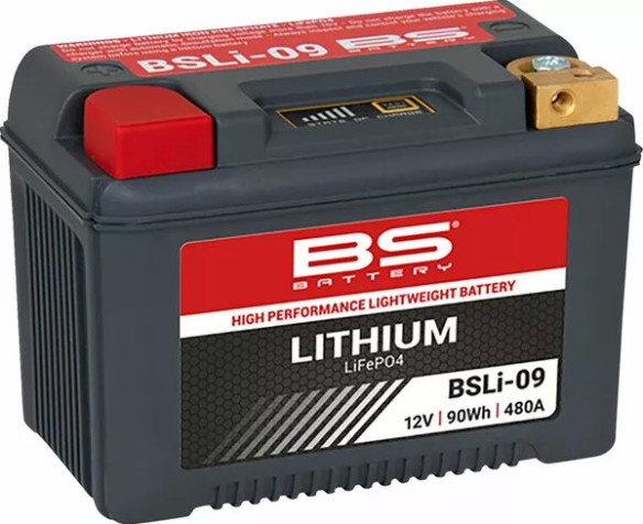 Lithium Lifepo4 Battery Black