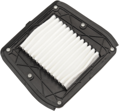 Oem Replacement Air Filter For Indian Black, White