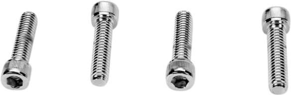 Handlebar Clamp Bolt Set Silver