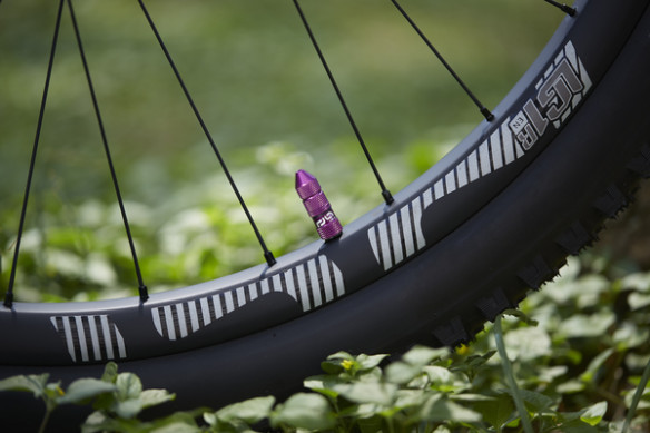 Quick Fill Schrader Tubeless Valve Set Purple