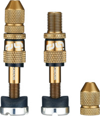 Quick Fill Schrader Tubeless Valve Set Bronze