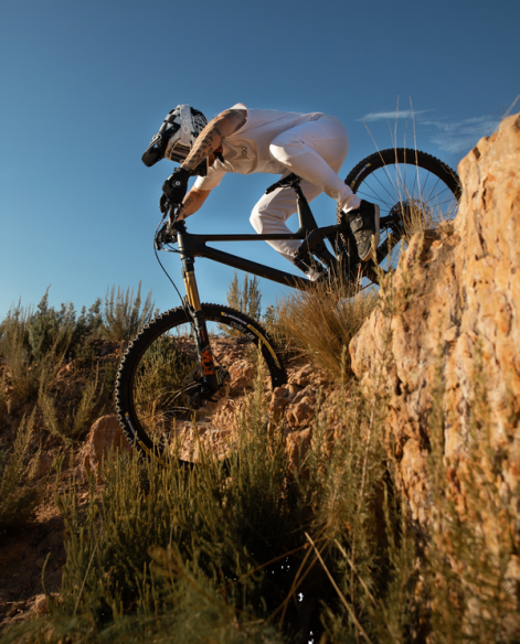 Wild Enduro Racing 29 X 2.40 Rear Black
