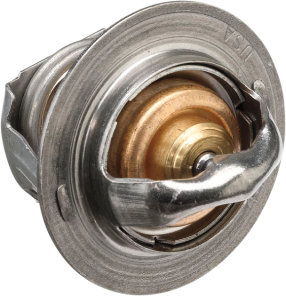 Replacement Thermostat - Polaris