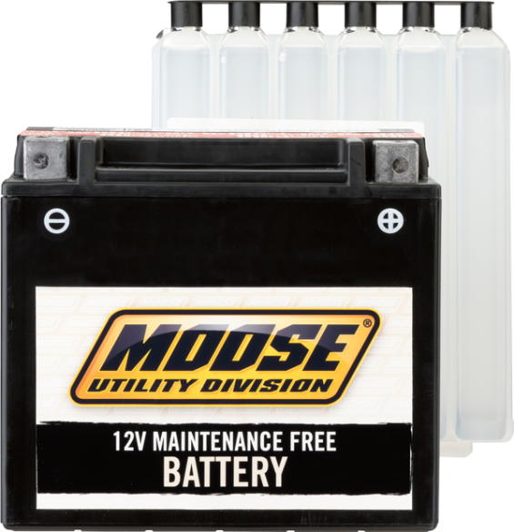 Agm Maintenance Free Batteries