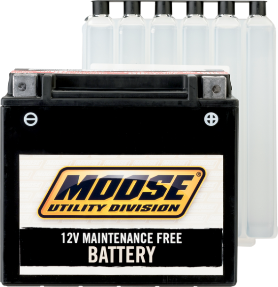 Agm Maintenance Free Batteries