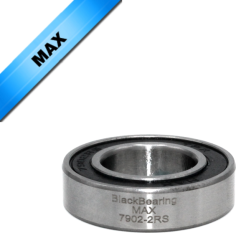 Max Bearing