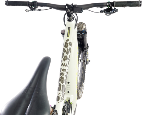 Frame Guard Extra Protection Cheetah Clear