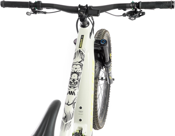 Frame Guard Extra Protection Bull Black