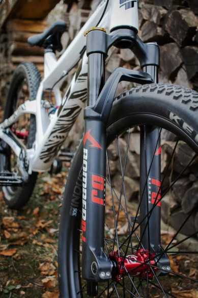Frame Guard Extra Protection Zebra Clear