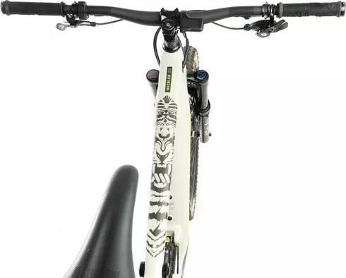 Frame Guard Extra Protection Tiger Clear