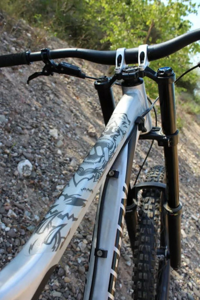 Frame Guard Extra Protection Bear Clear