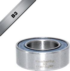 B3 Bearing