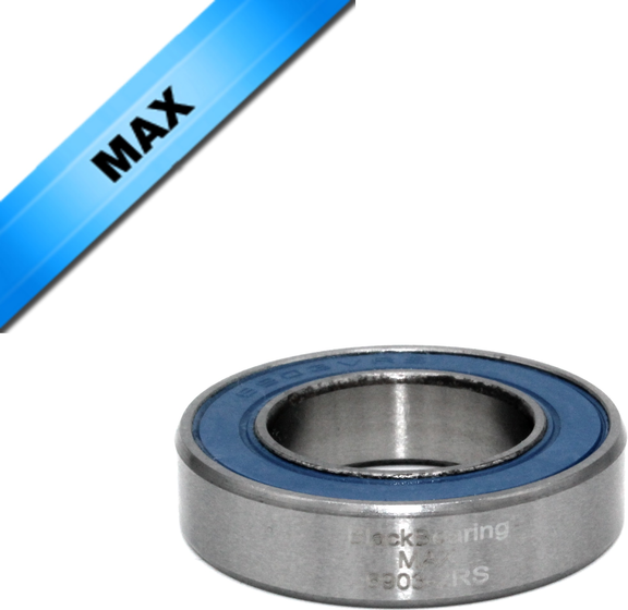 Max Bearing