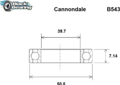 Headset Bearing