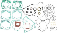 KIT COMPLET GARNITURI MOTOR KTM EXC 300 2018-2020