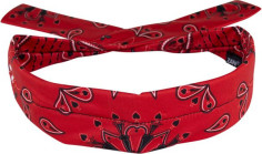 Bandana Cooldanna Poly Rd Paisley Dp106
