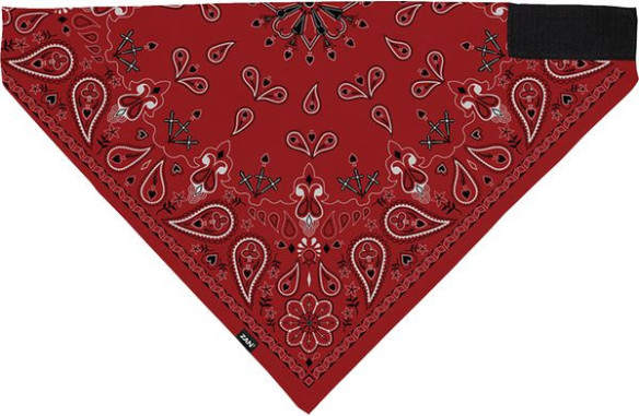Bandana Sf Red Paisley Bl106