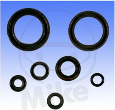 Set Simeringuri Motor