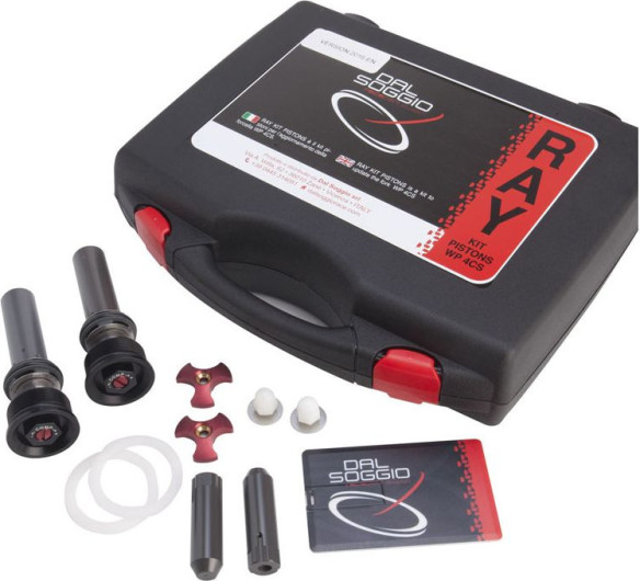 Kit Tuning Pistoane Furci WP 4CS 2013/2016 RAY