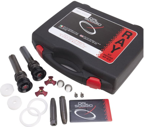 Kit Tuning Pistoane Furci WP 4CS 2013/2016 RAY