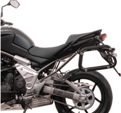 Cadru Lateral Evo KAWASAKI KFT.08.725.20000/B