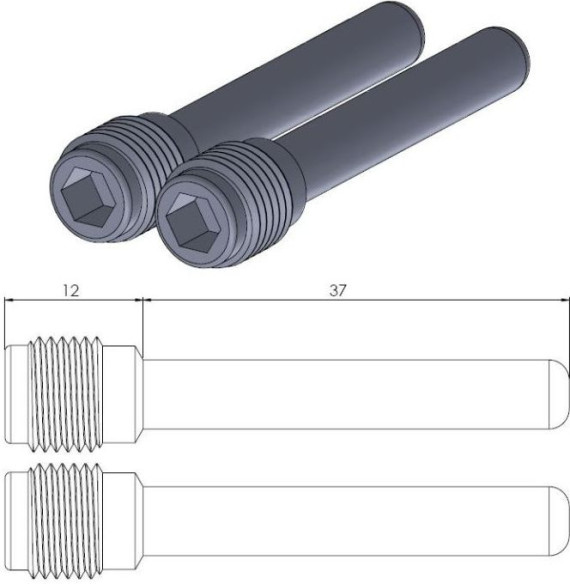 Pin (Cui de schimb ) Placute Frana - 213040