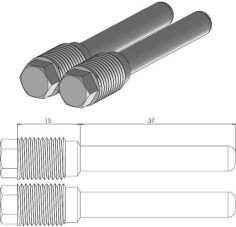 Pin (Cui de schimb ) Placute Frana - 213065