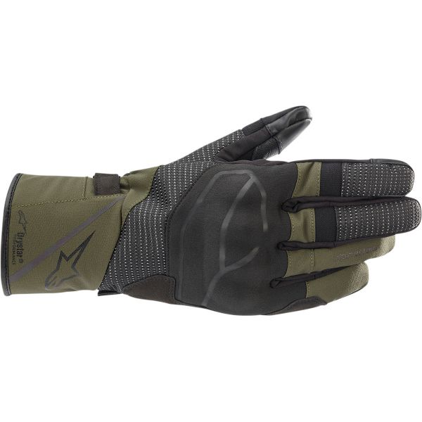Gloves Touring Alpinestars Touring Andes v3 Drystar Gloves Black/Green
